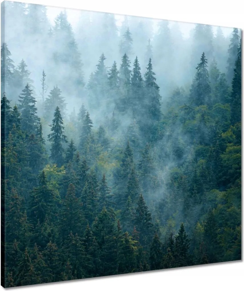 Vászonkép 60x60 Erdő a ködben Utazás