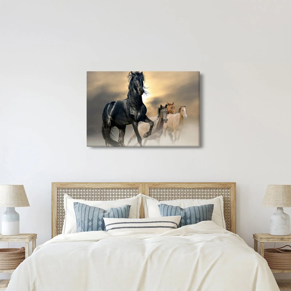 Kép - Lovak (90x60 cm)