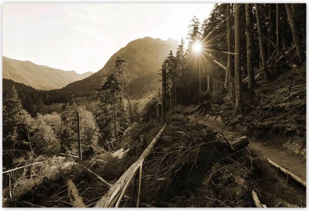 Poszterek 185x125 Szépia tájkép Szépia