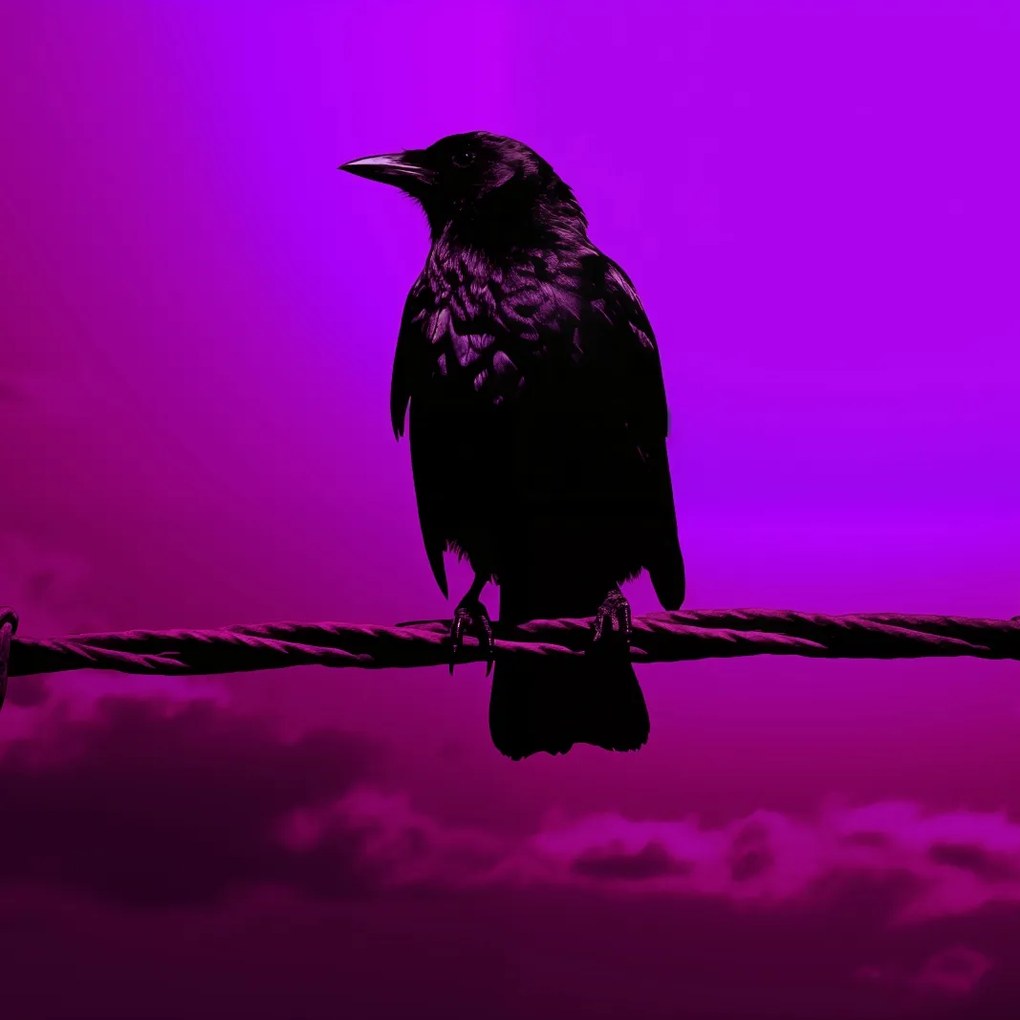 Poszter 60x60cm Rejtély sziluett