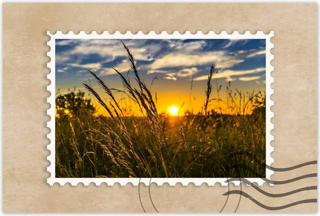 Poszterek 90x60 Naplemente a füvek között