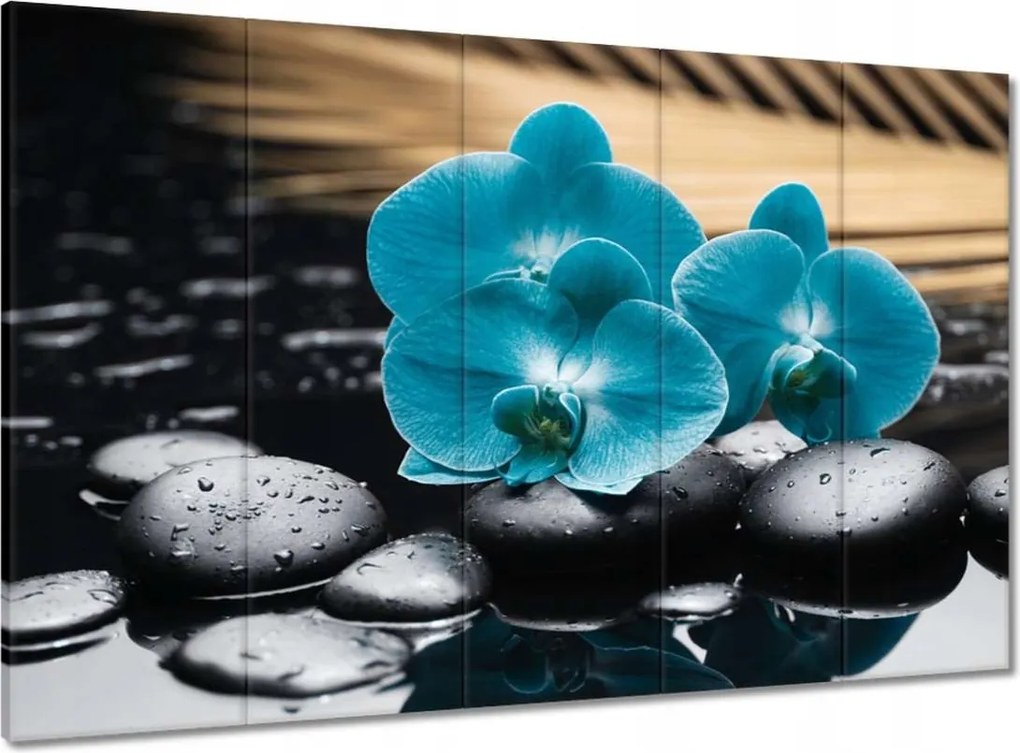 Vászonkép 100x70 Türkiz orchidea Virág