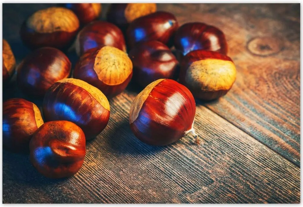 Poszterek 200x135 Dió a deszkán Bronz
