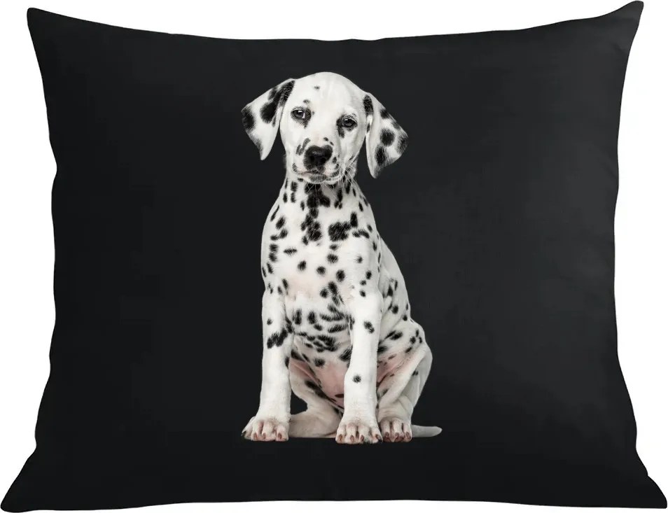 Párna párnahuzat Dalmata Cuki Kutya