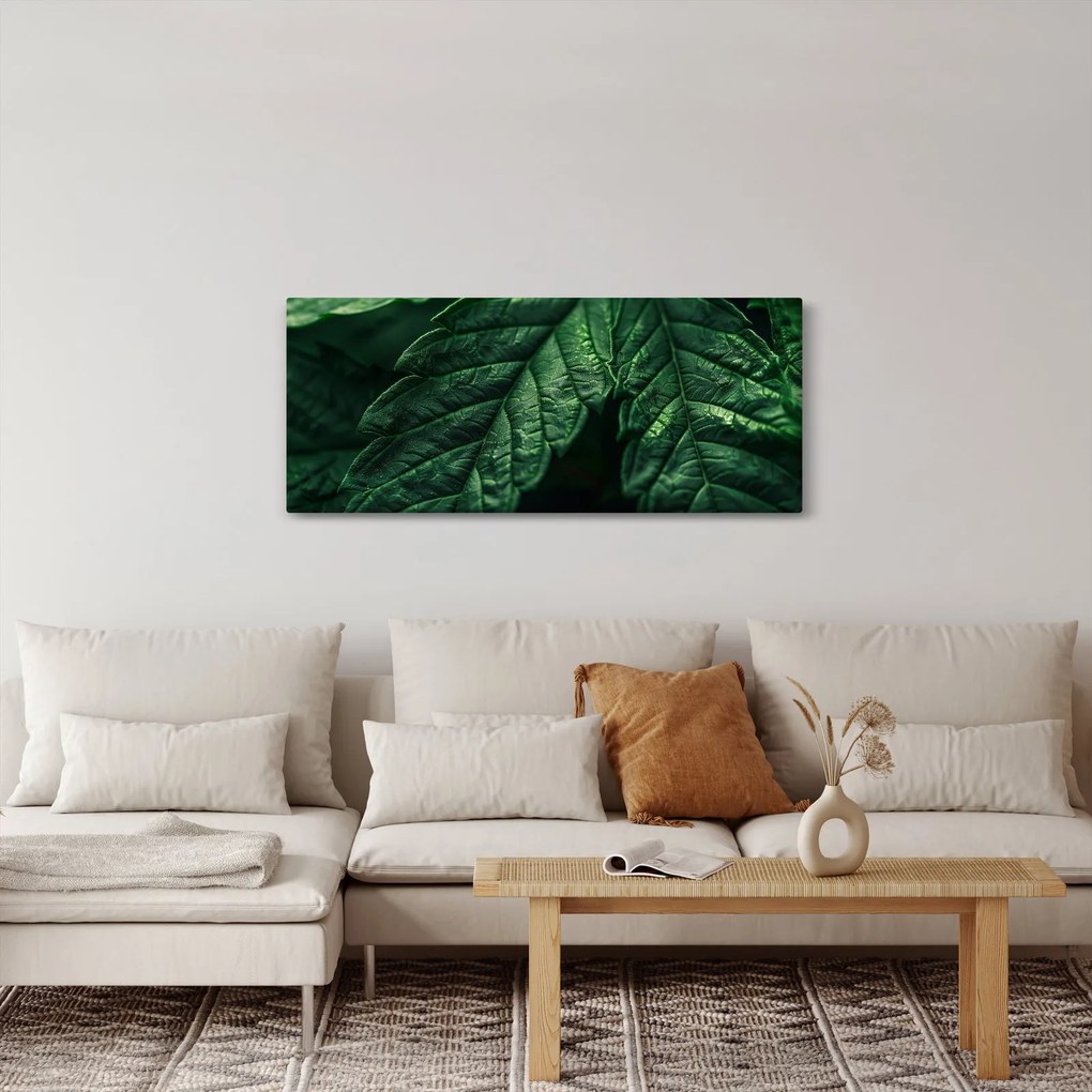 Kép - A lap részletei (120x50 cm)