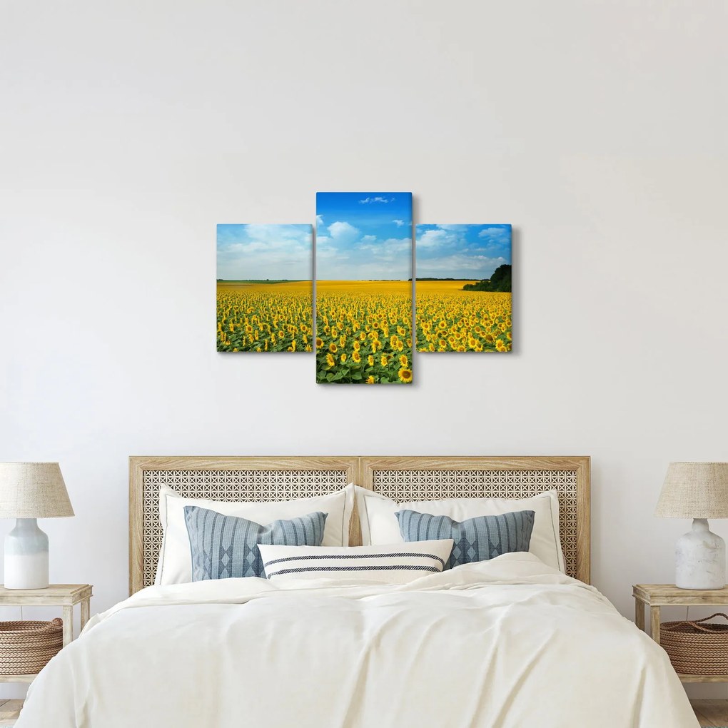 Kép - napraforgó (90x60 cm)