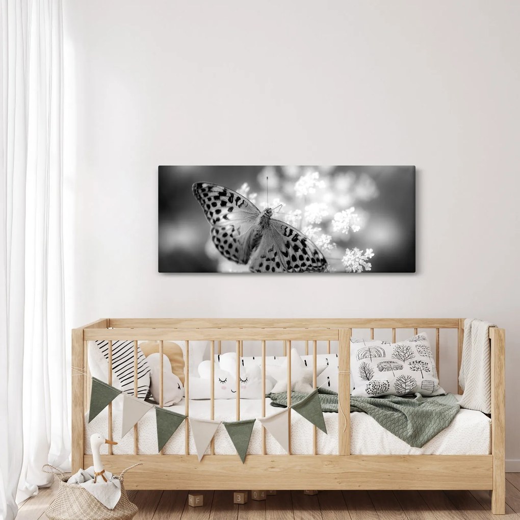 Kép - Részlet egy virágot beporzó pillangóról (120x50 cm)