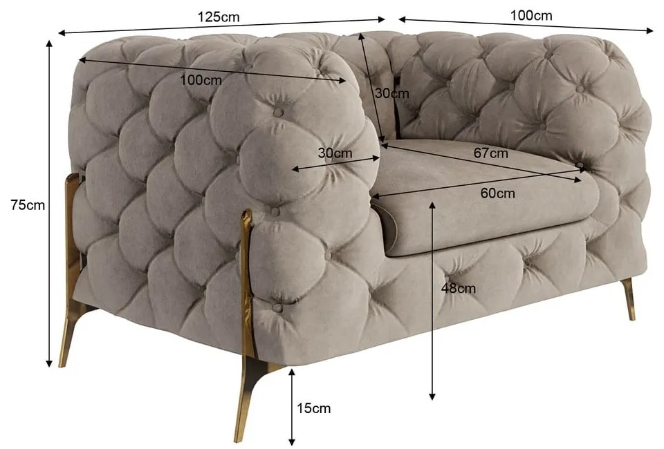 Szürkésbézs bársony fotel Chelsea Bis – Ropez