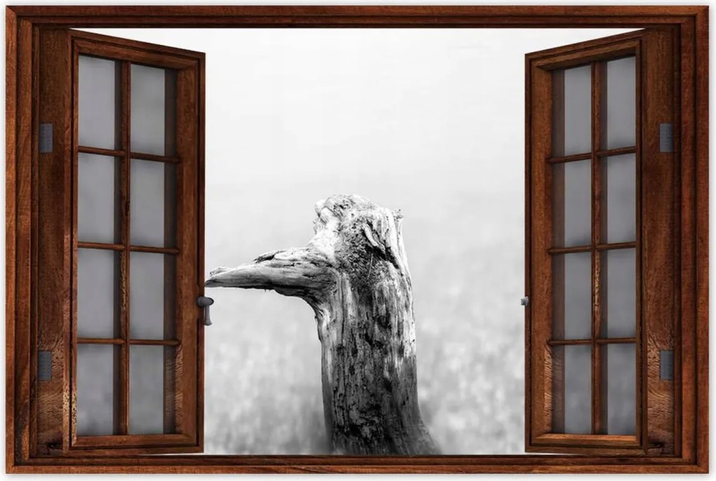 Poszterek 120x80 Tengerpart Gyökér Homok