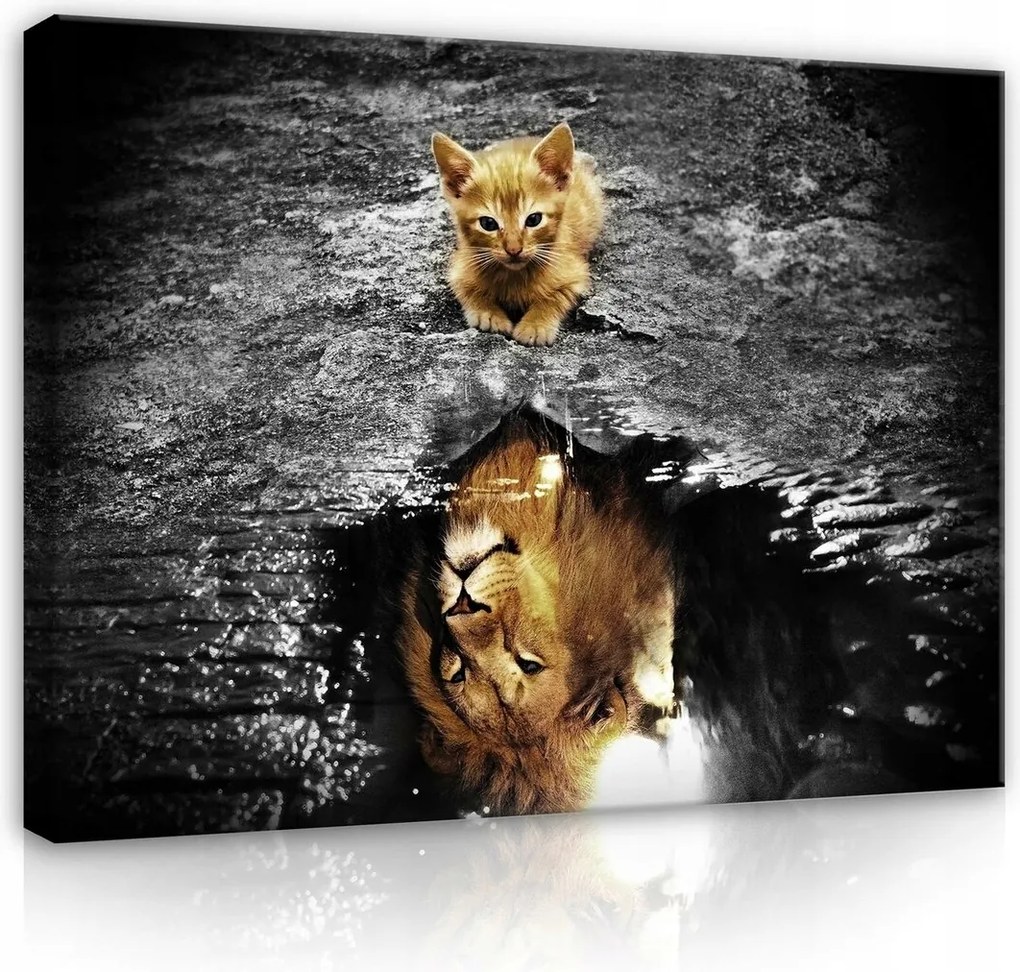 Vászonkép 100x75 Cica oroszlán tükröződés lélek potenciál erő természet álmok