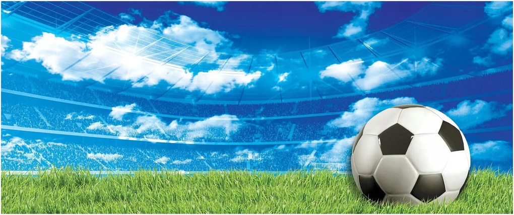 Fotótapéta flizelina focistadion fű adrenalin labda 250x104 +ragasztó