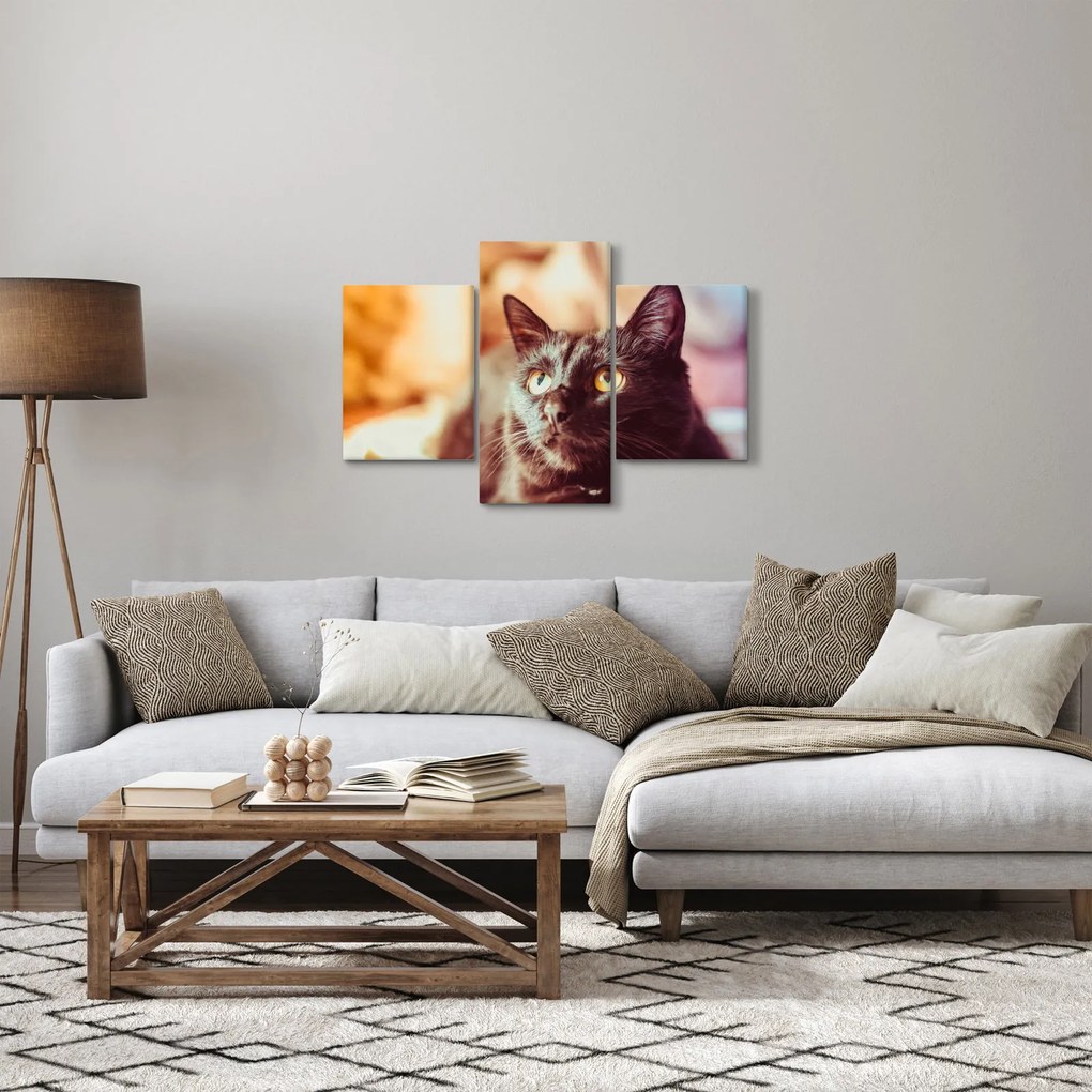 Fekete macska képe (90x60 cm)