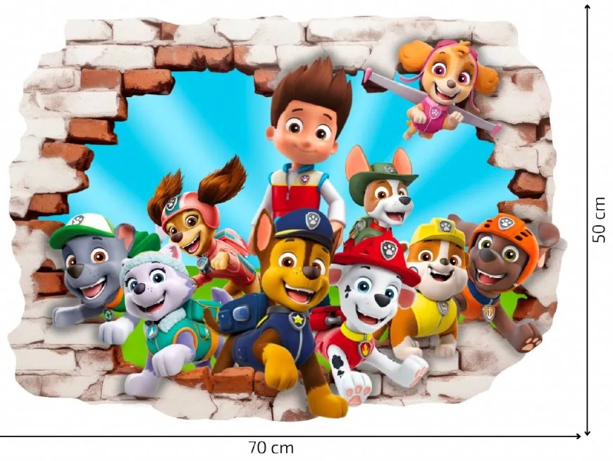 Falmatrica "PAW Patrol" 70x50 cm