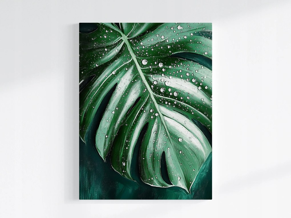 Vászonkép Canvas Természet Monster Levél Filodendron Víz Harmat 75x100