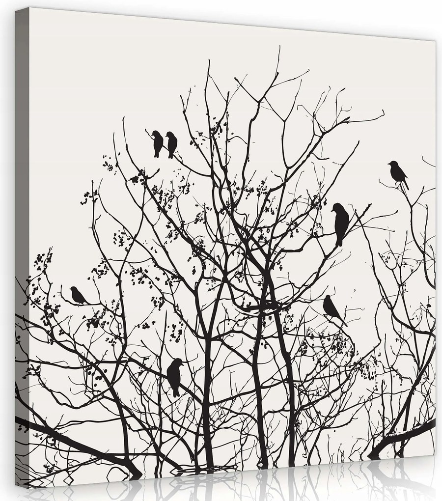 Vászonkép 80x80 Fekete-fehér fák madarak tél minimalizmus grafika nyugalom