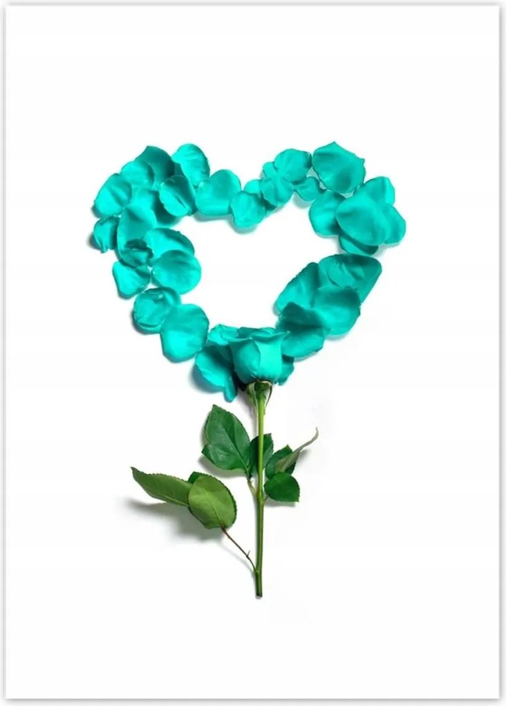 Poszterek 40x50 Türkiz rózsa