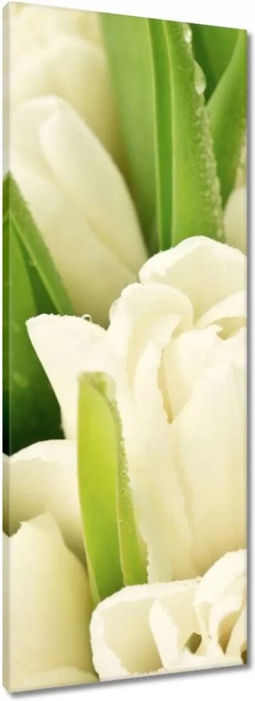 Vászonkép 40x100 Finom tulipánok
