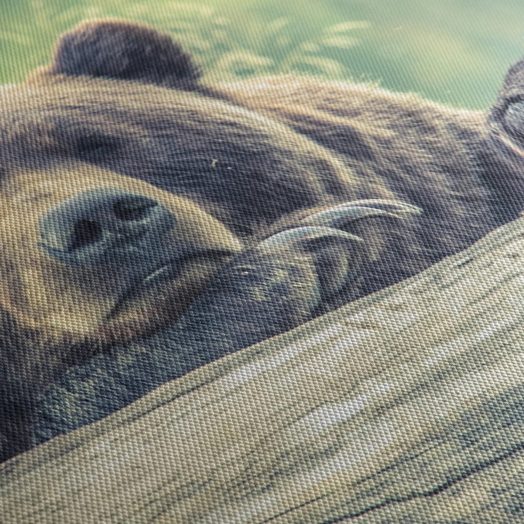 Medve képe (150x105 cm)