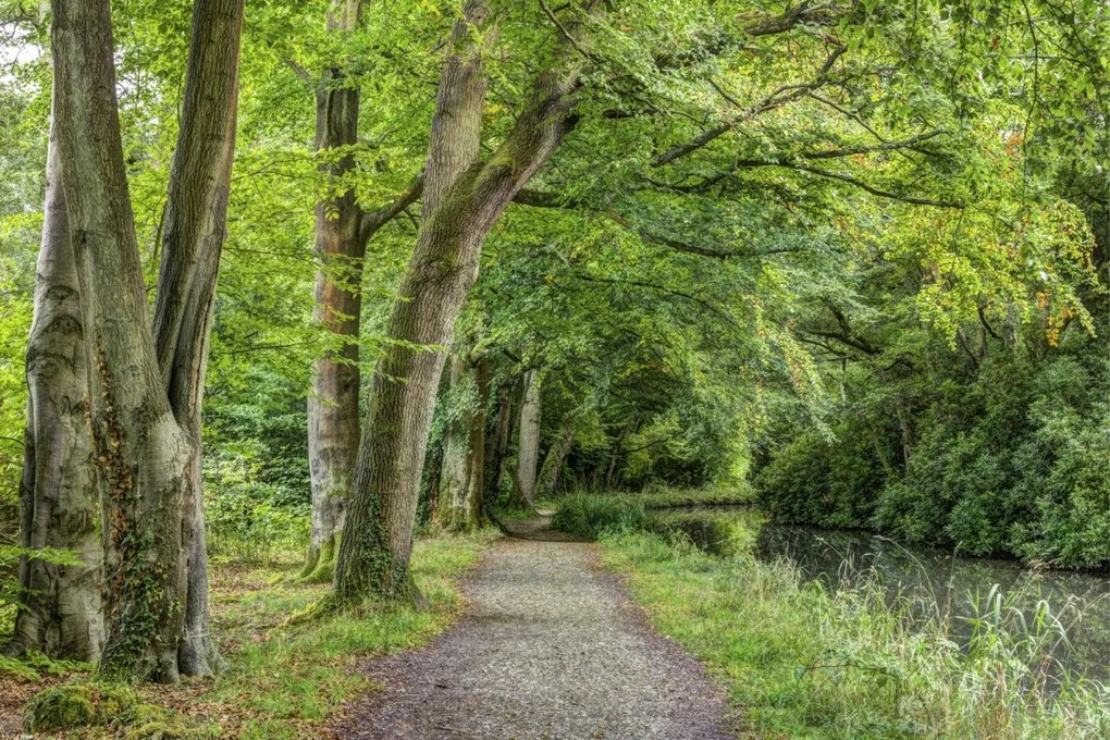 Poszter 60x40cm Ösvény a Basingstoke csatorna mentén, Assaf Frank