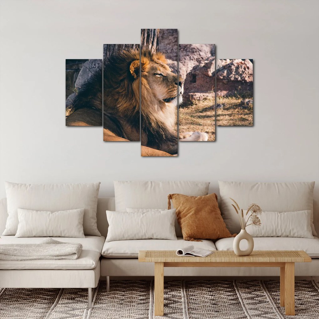 Egy fekvő oroszlán képe (150x105 cm)