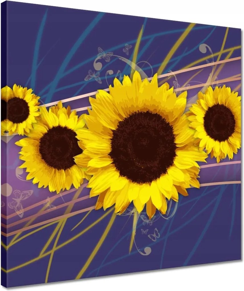 Vászonkép 40x40 Napraforgók