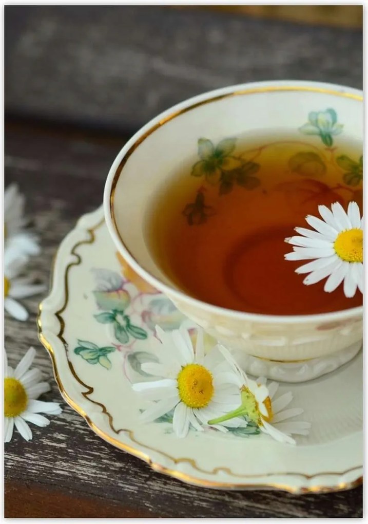 Poszterek 70x100 Kamilla tea