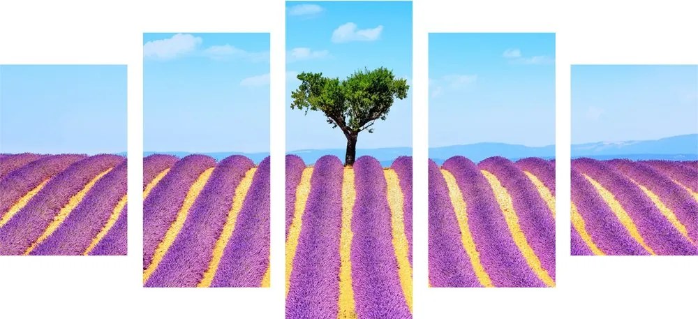 5 részes kép provence-i levandula mező