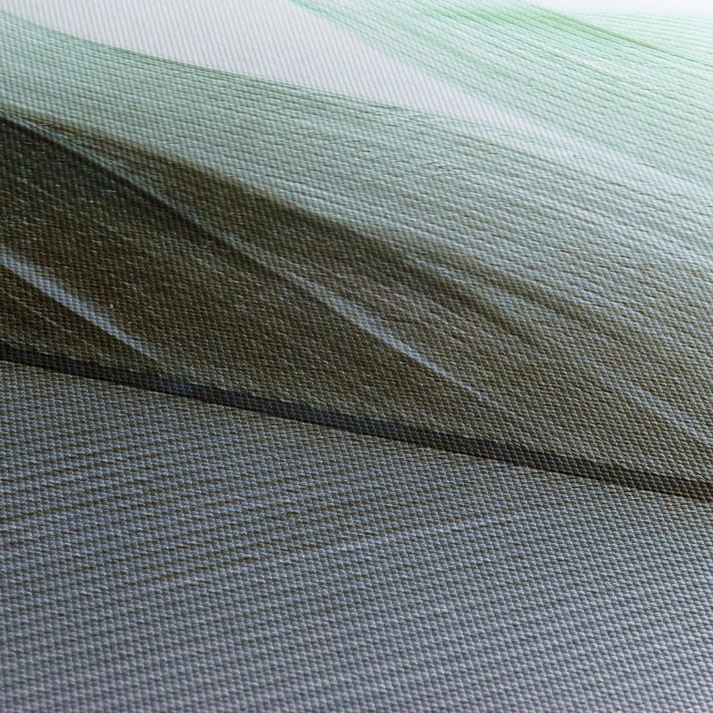 Kép - Tollak, makro (órával) (90x30 cm)