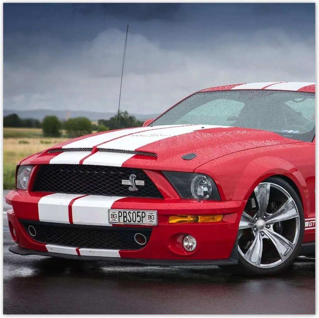 Poszter 70x70 Piros Ford Mustang Usa