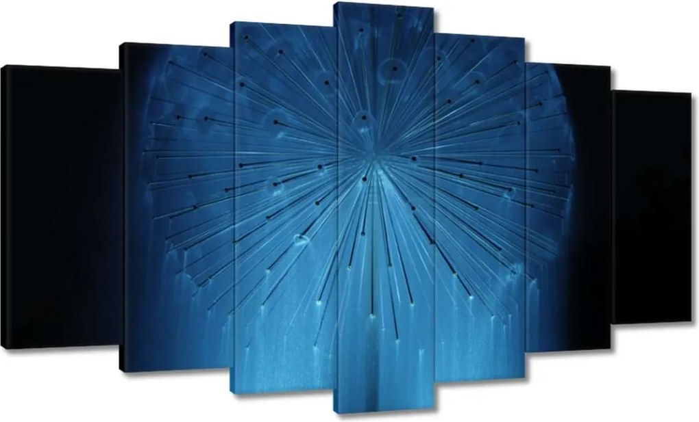 Vászonkép 140x80 Pitypang Virág Virágok