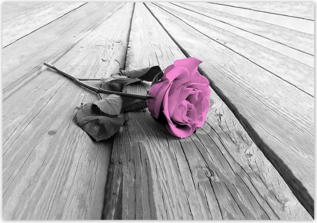 Poszterek 100x70 Régi rózsa Rózsa a deszkákon