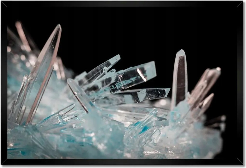 Poszterek keretben 60x40 Makrofotó MacroFoto