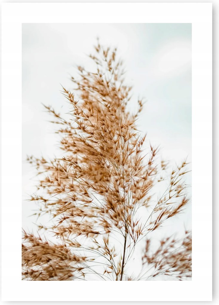Boho fű bézs poszter B1 100x70cm #20B