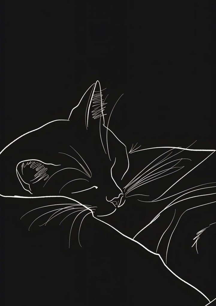 Poszter 59,4x84,1cm Éjszakai nyugalom