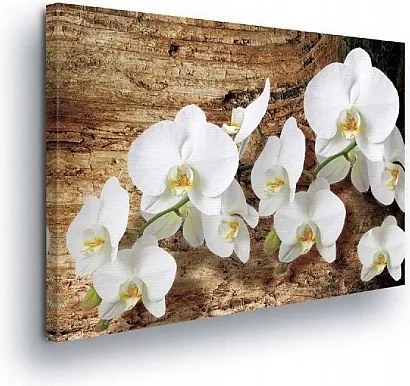 Vászonkép 100x75 Fehér orchideák fa háttér textúra virágok természet nyugalom