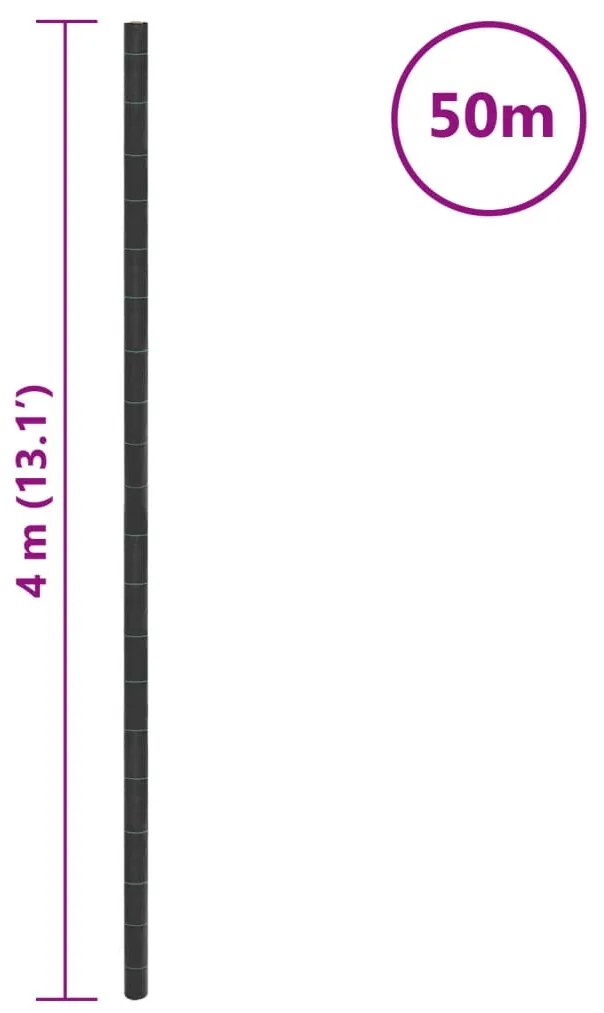 fekete PP talajtakaró membrán 4x50 m