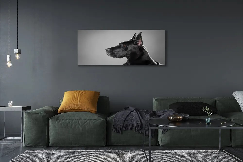 Canvas képek Fekete kutya 125x50 cm