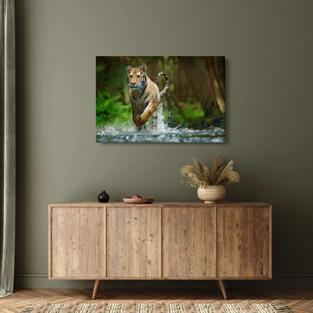 Futó tigris képe (90x60 cm)