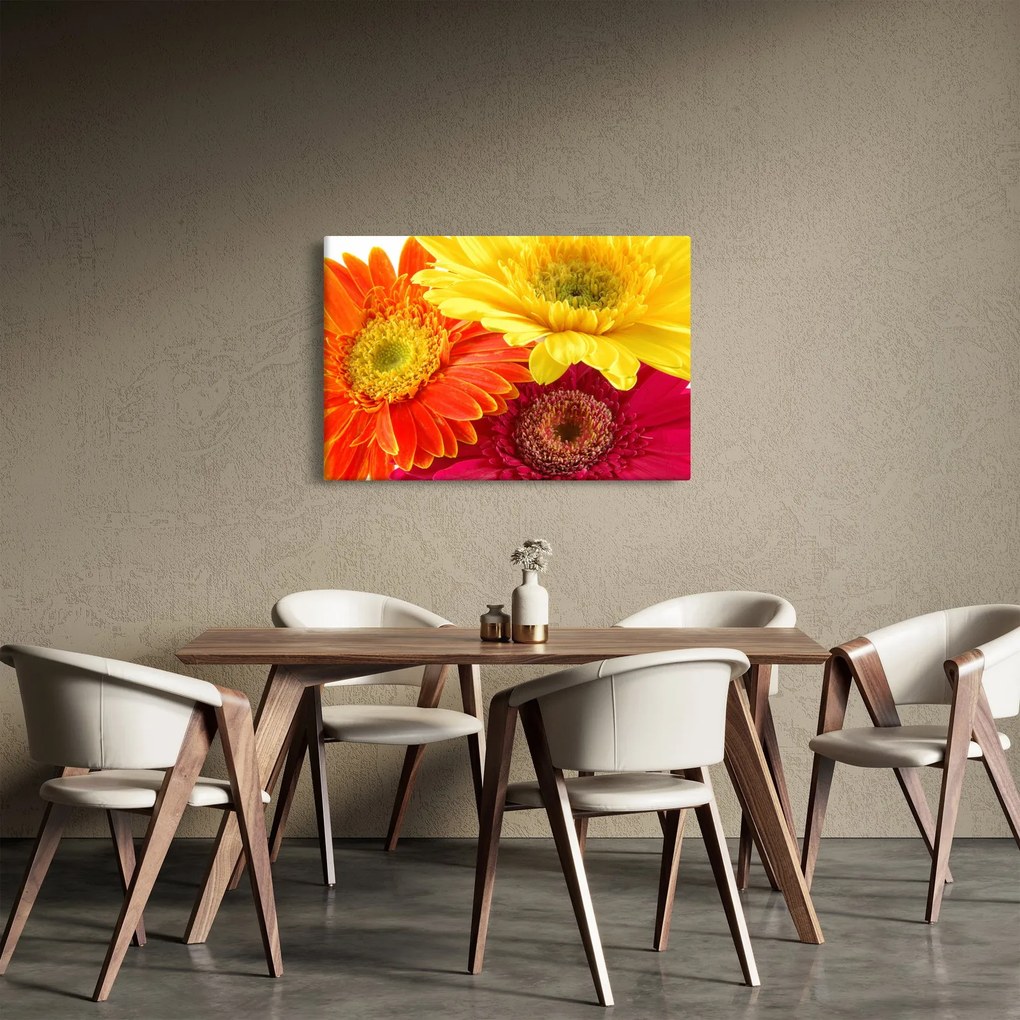 Kép - Virágok Gerbery (90x60 cm)