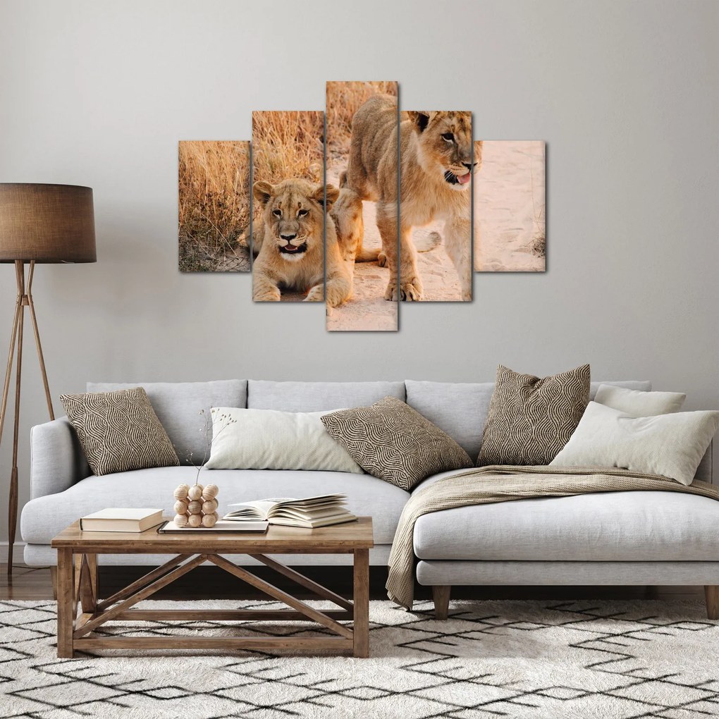 Kép - Kölyök oroszlánok (150x105 cm)
