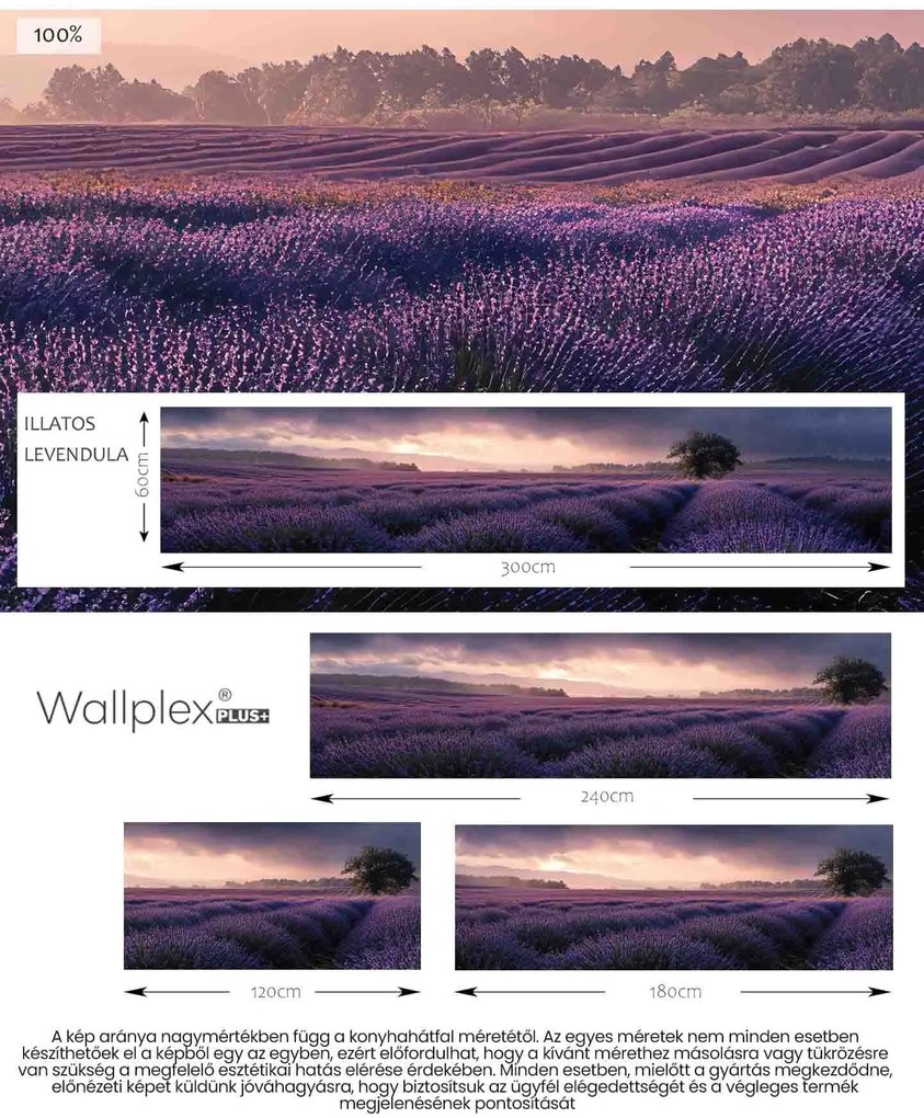 Wallplex konyhahátfal Illatos Levendula (Méret: 60x180)
