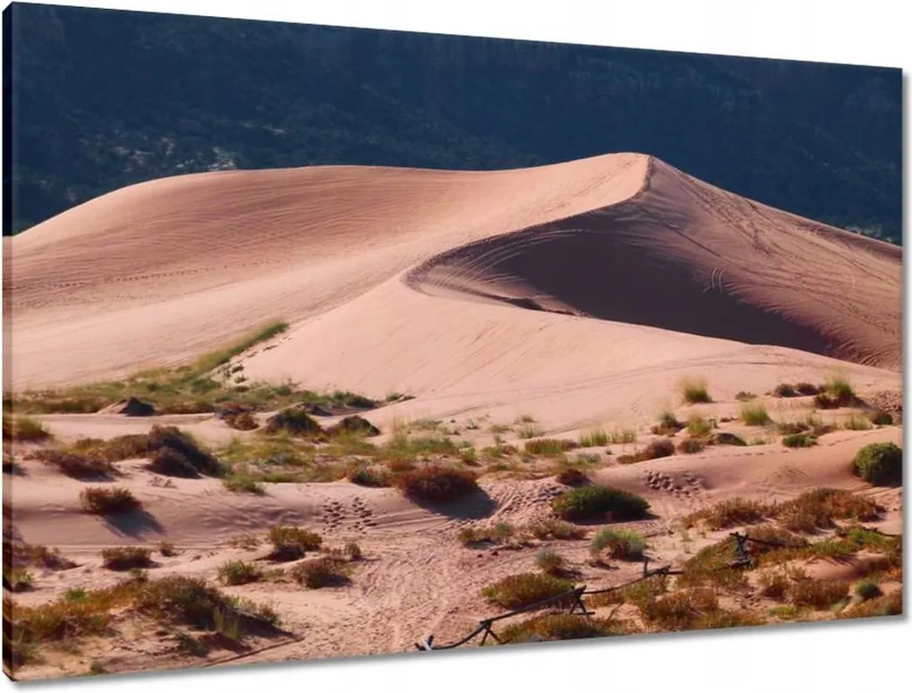 Vászonkép 90x60 Sivatagi kilátás