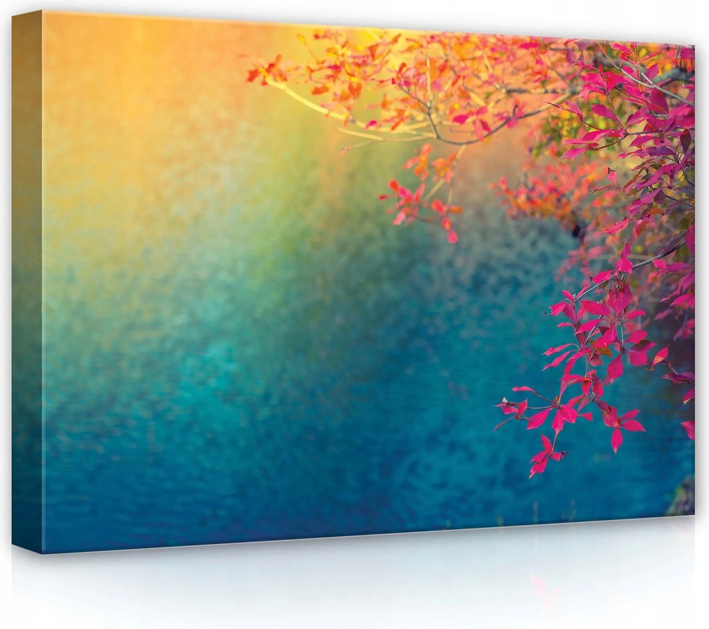 Vászonkép 70x50 Őszi levelek fa színek ősz természet nyugalom melankólia