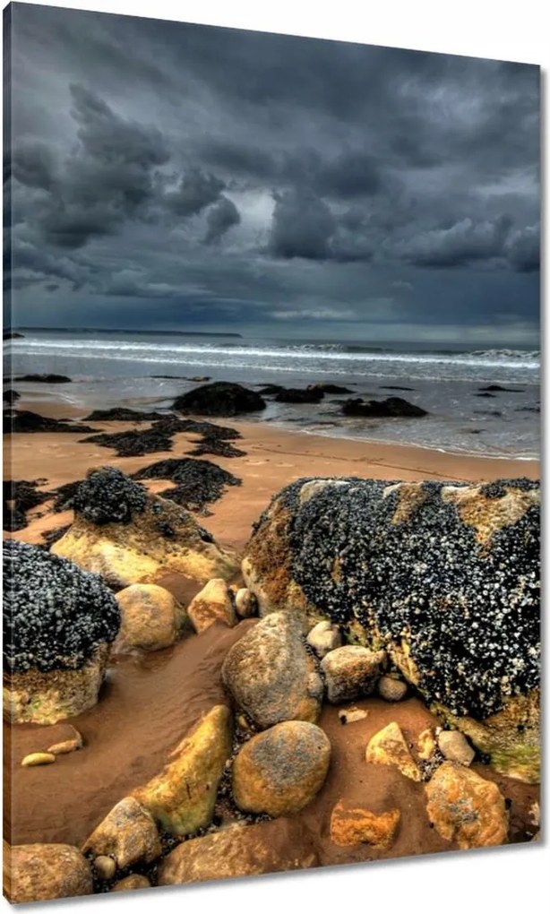 Vászonkép 70x100 Kő tengerpart Tenger