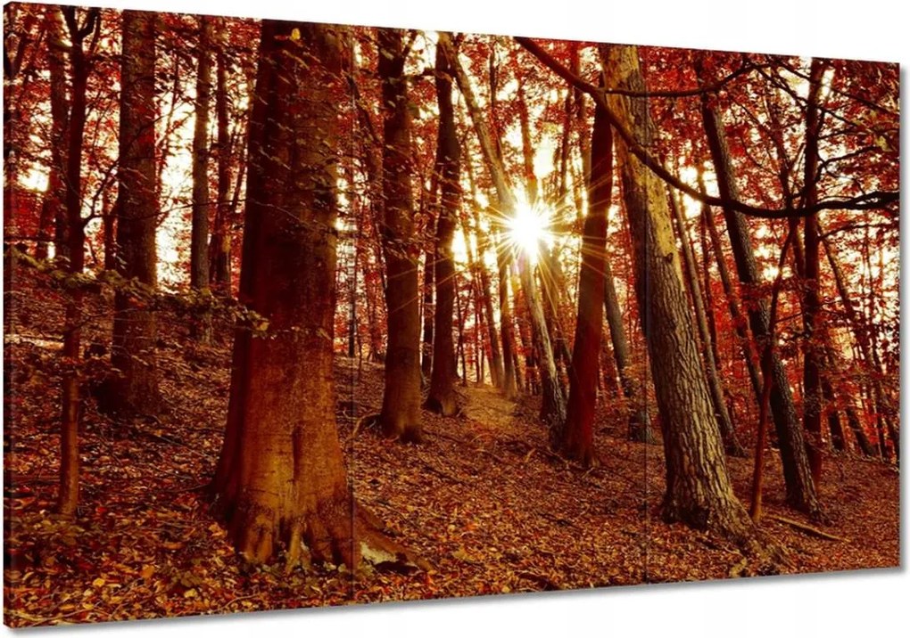 Festmények 120x80 Tájkép Látvány