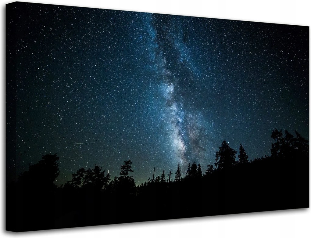 Vászonkép Kozmosz Éjszaka Erdő Köd Természet Csillagászat 80x50