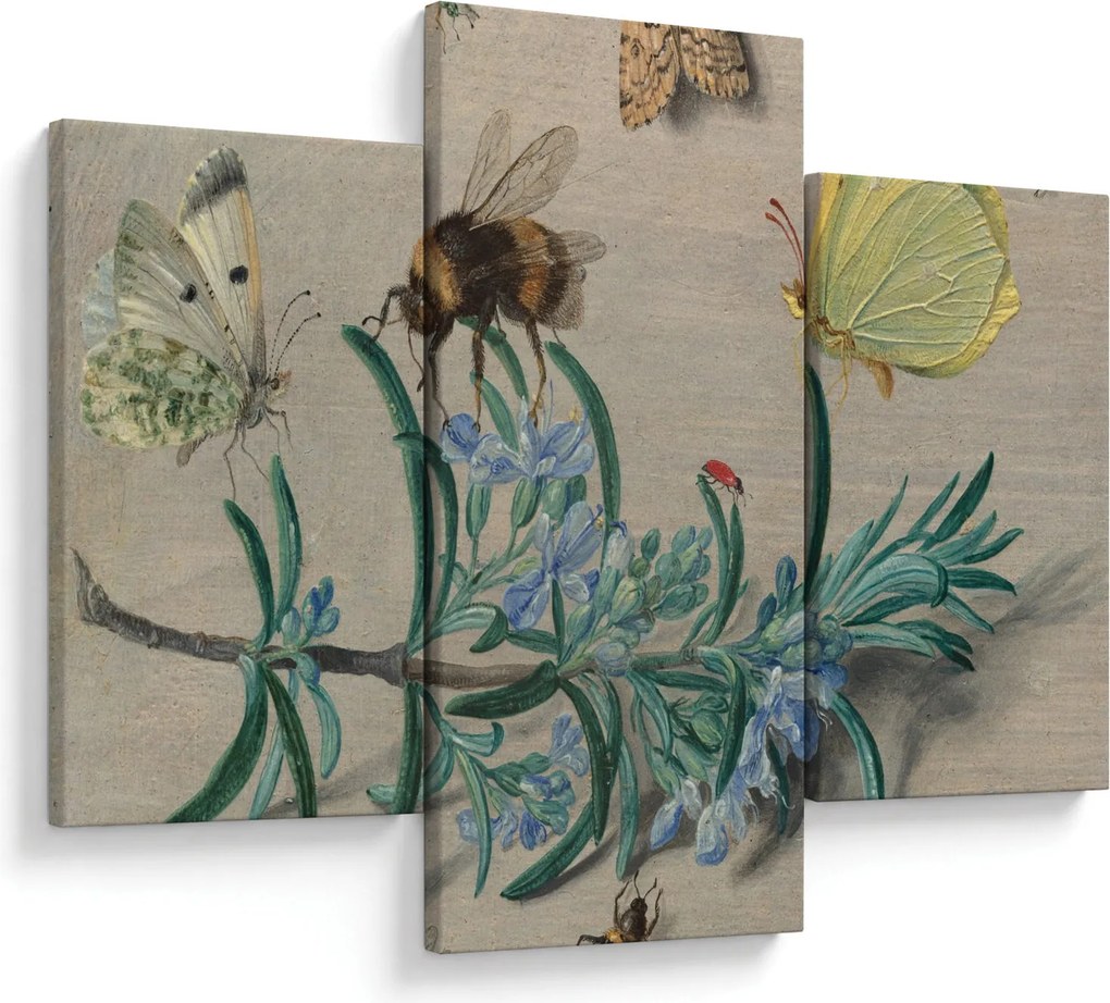 Kép - Jan van Kessel the Elder, Insects and a Sprig of Rosemary, reprodukciók (90x60 cm)