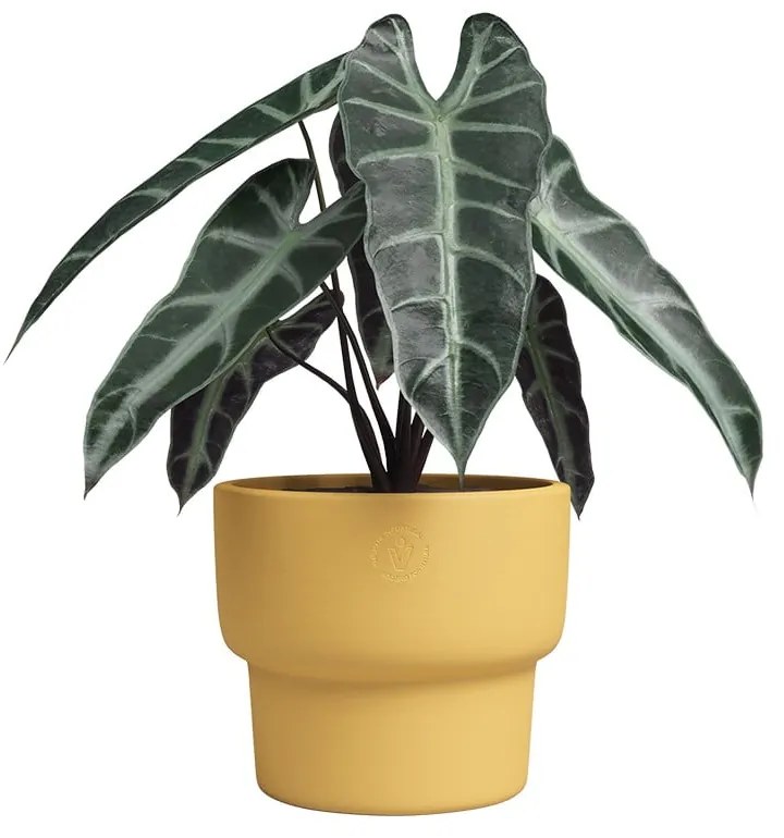 Kerámia kézzel készített virágcserép ø 17 cm Echo – Artevasi