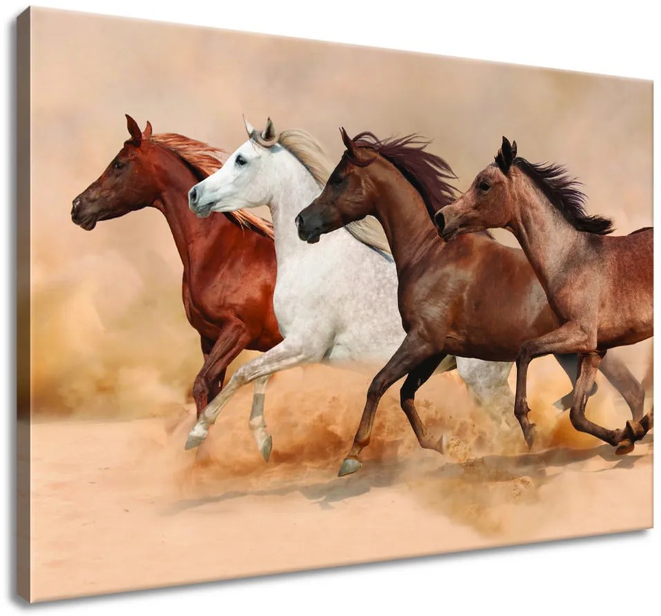 Gario Vászonkép Gyönyöru lovak állománya Méret: 100 x 70 cm
