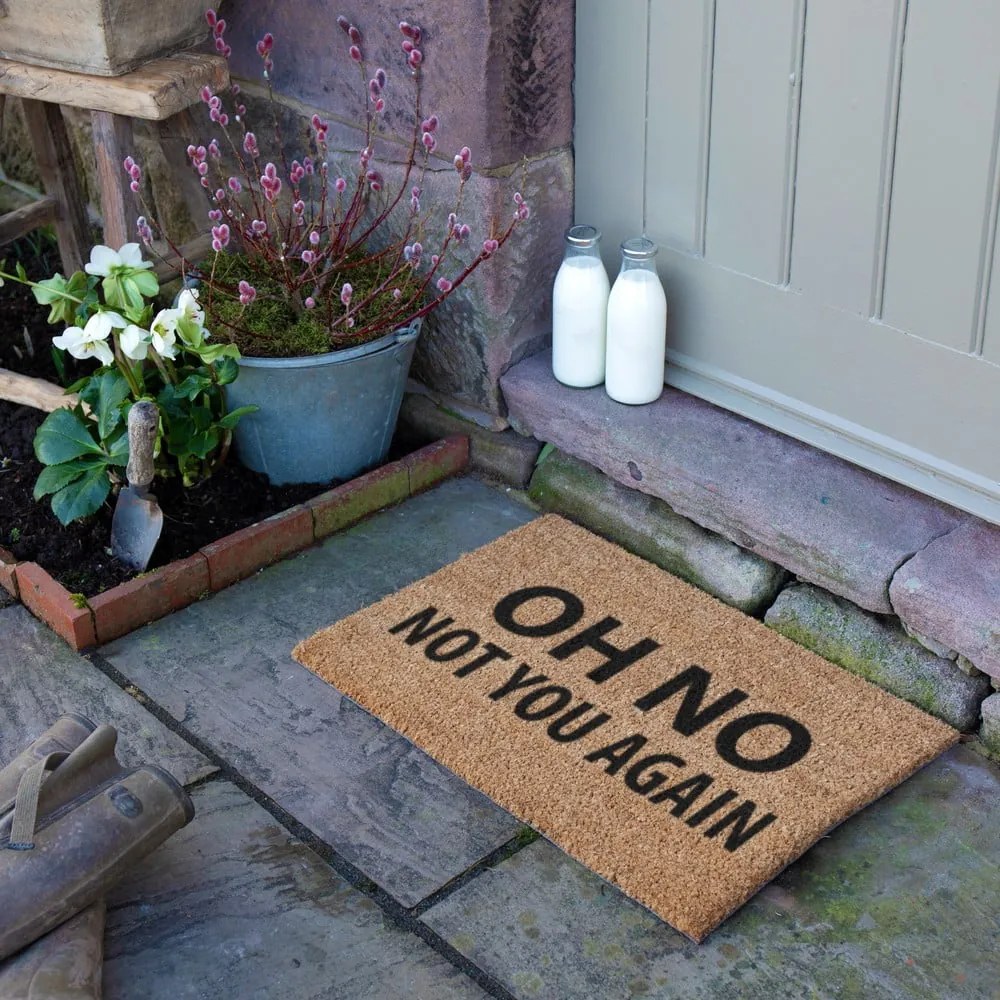 Kókuszrost lábtörlő 40x60 cm Not You Again – Artsy Doormats